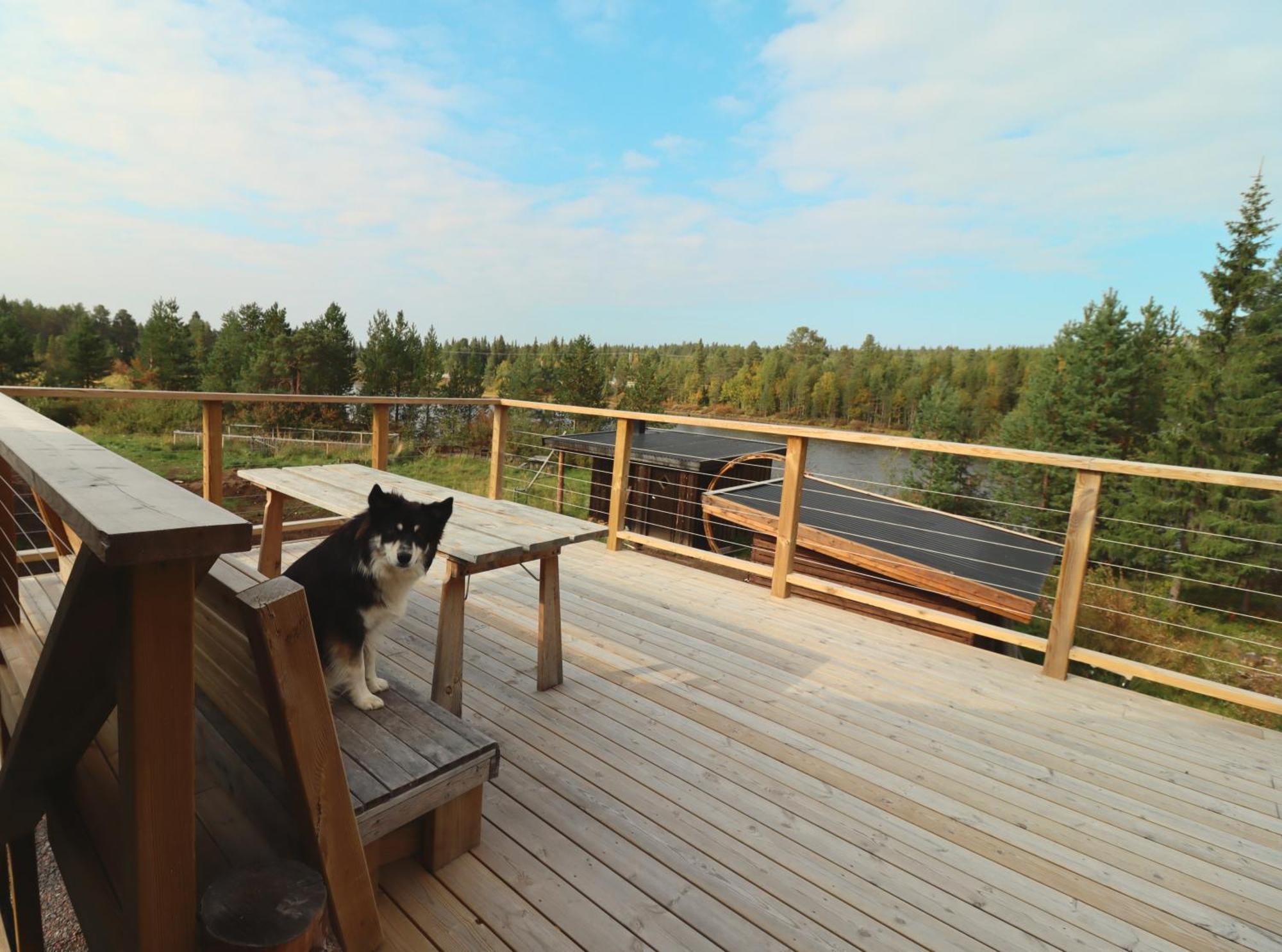Cozy Cabin Styled Loft Kiruna Zewnętrze zdjęcie